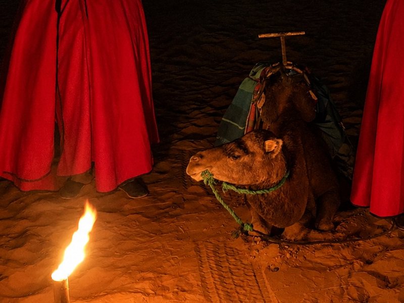 Royal pages waiting on the dune with a torch